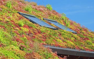 Harlow Hill living roof systems