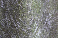 Harlow Hill fibreglass roof work